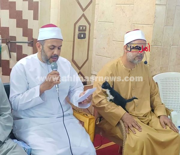 قطة تُداعب إمام مسجد بالمنوفية