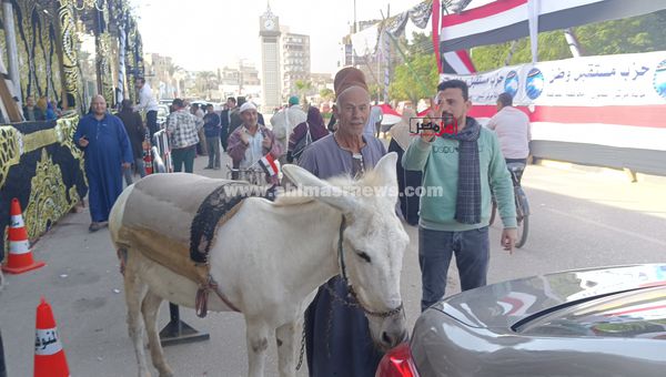 حضور مواطن للإدلاء بصوته الانتخابي 