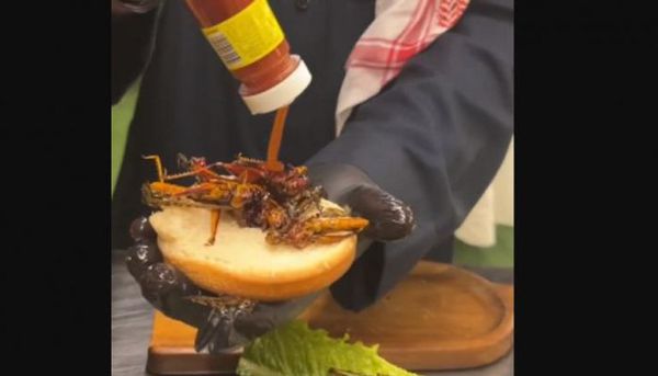 وجبة من الجراد تُثير الجدل في السعودية