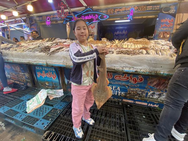 طفلة صينية بسوق الاسماك ببورسعيد 
