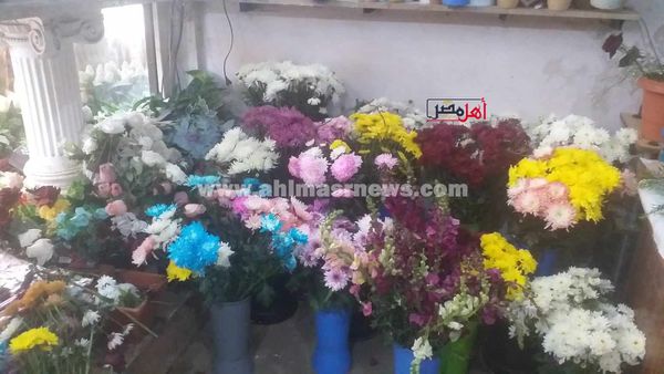 محال الورود تتزين في عيد الحب بكفر الشيخ 