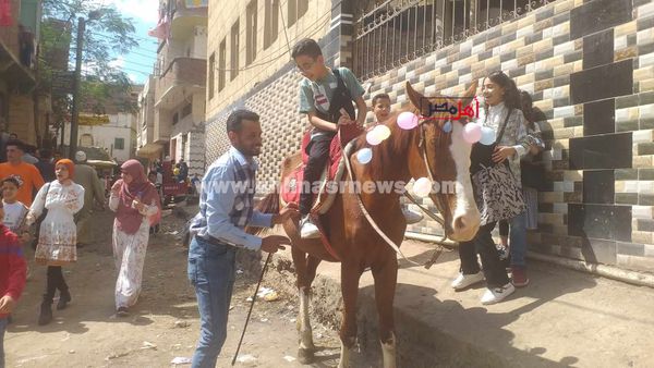 تأجير الأحصنة للاحتفال بعيد الفطر 