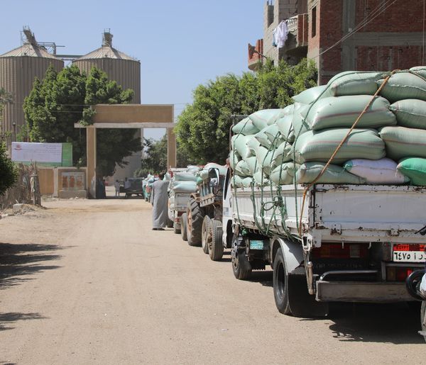 زيارة محافظ بنى سويف لصوامع بوهلر لتخزين القمح