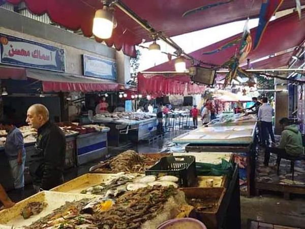 سوق الأسماك الجديد بمحافظة بورسعيد خالى من المواطنين 