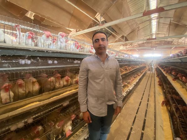 مفيش جشع.. صاحب مزرعة دواجن وبيض ببورسعيد يكشف أسباب ارتفاع الأسعار: الكرتونة بـ 145 والعلف السبب
