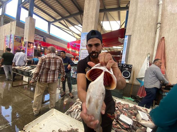 اقبال كبير على شراء الأسماك ببورسعيد 