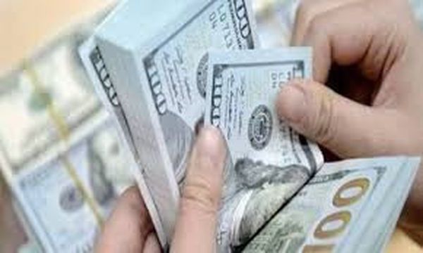 سعر الدولار اليوم 