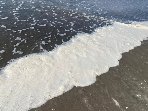 ظاهرة زبد البحر على شاطىء بورسعيد 