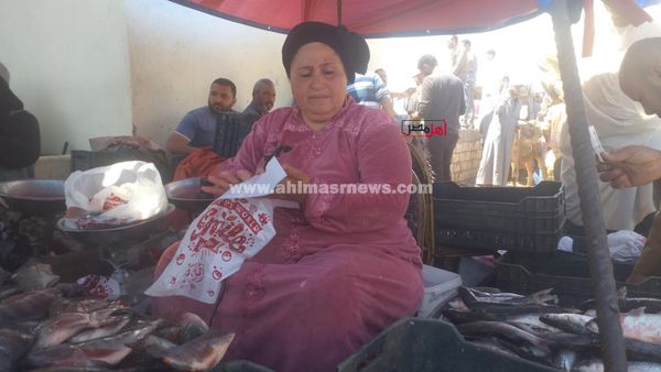 المعلمة دعاء، أشهر بائعة أسماك بكفر الشيخ 