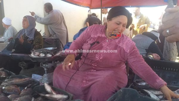 المعلمة دعاء، أشهر بائعة أسماك بكفر الشيخ 