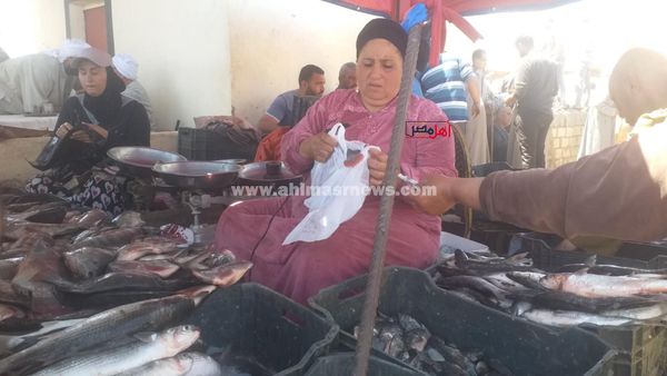 المعلمة دعاء، أشهر بائعة أسماك بكفر الشيخ 