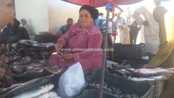المعلمة دعاء، أشهر بائعة أسماك بكفر الشيخ 
