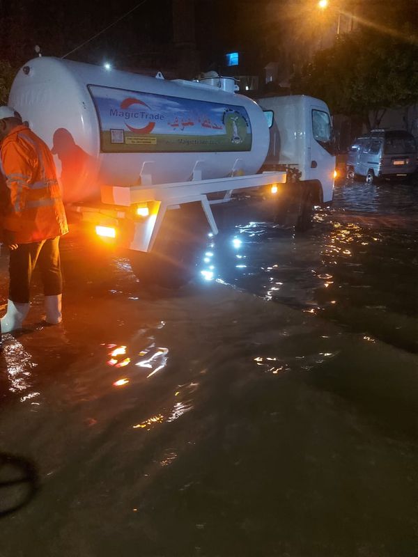 المنوفية