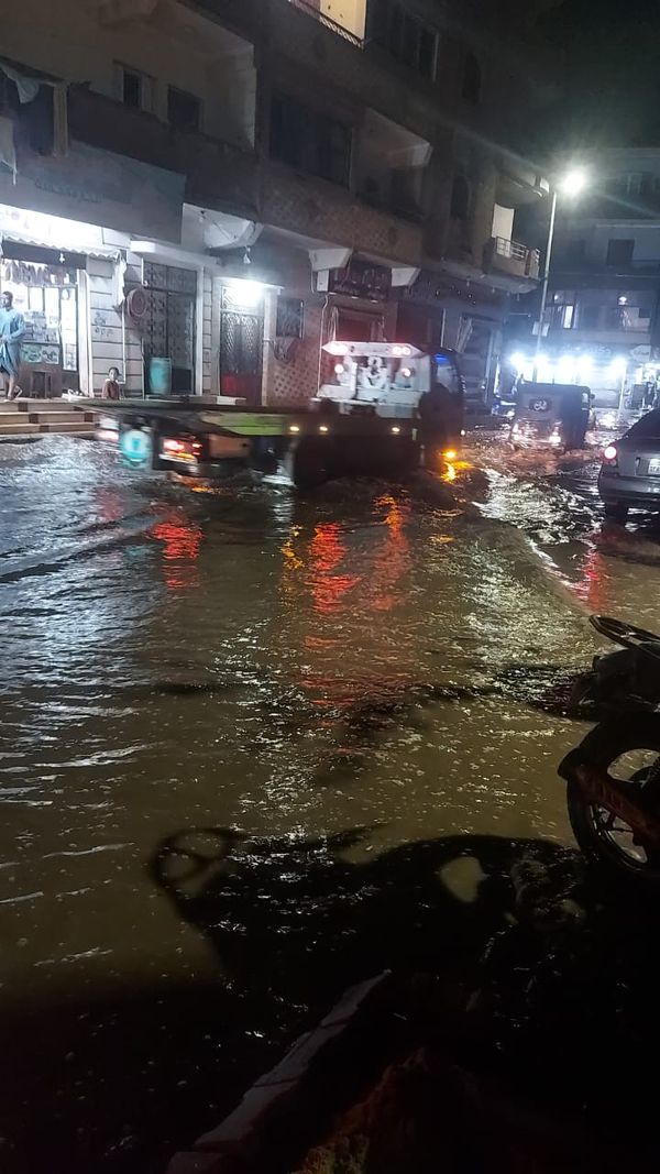 المنوفية