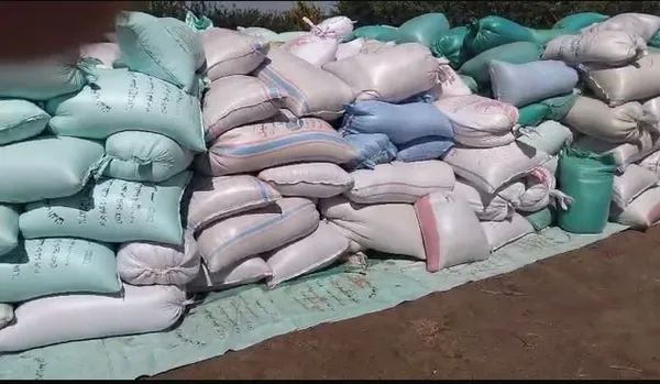 المنوفية