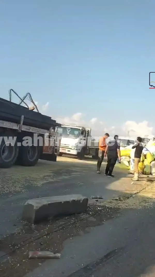 تريلا محملة بالقمح 