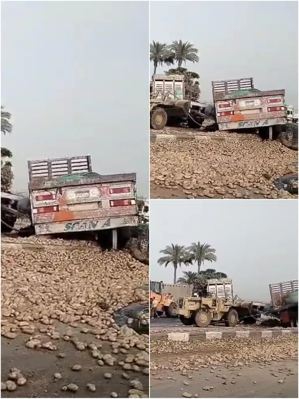 حادث الطريق الزراعي اليوم