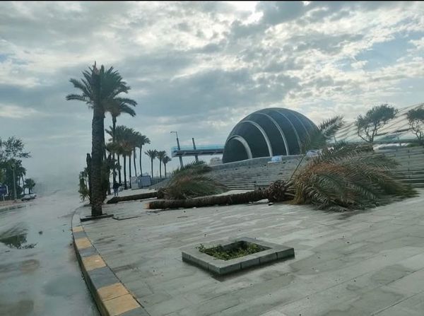 خسائر عاصفة الإسكندرية