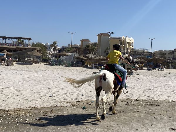 ركوب الخيل 