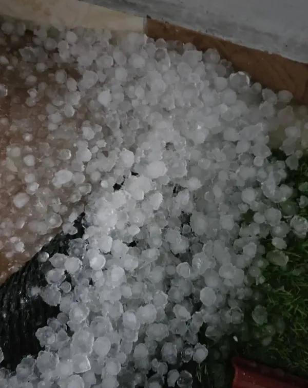 سوء الأحوال الجوية في محافظة الإسكندرية 
