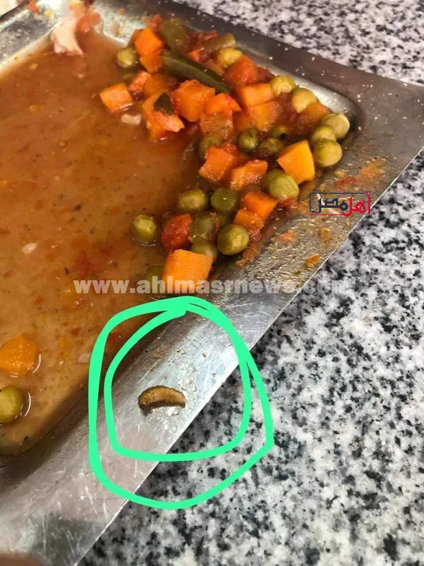 صور للطعام 