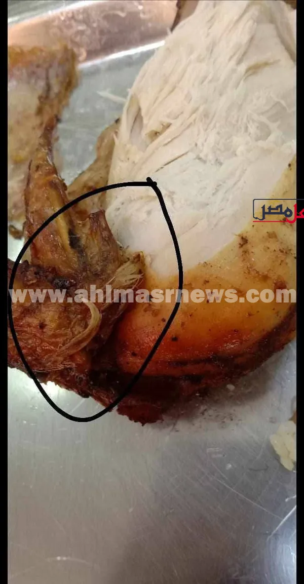 صور للطعام 