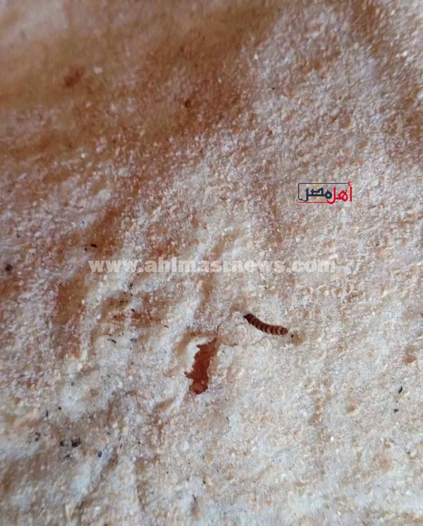 صور للطعام 