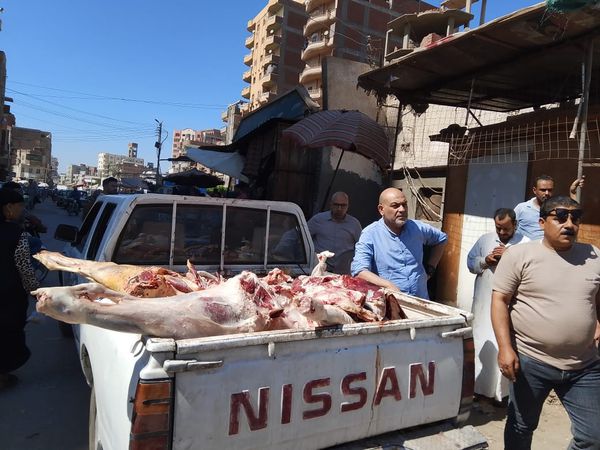 ضبوطات