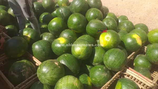 عمار، بائع بطيخ 