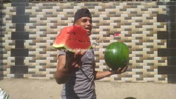 عمار، بائع بطيخ 