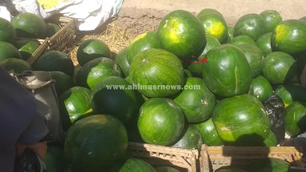 عمار، بائع بطيخ 