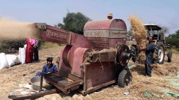 ماكينة دراسة القمح