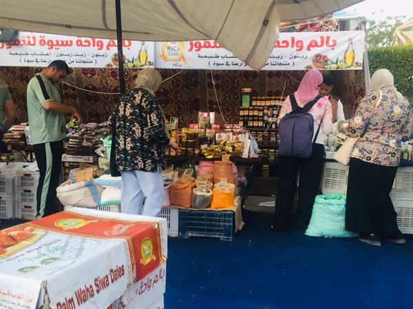 معرض كنوز مطروح 