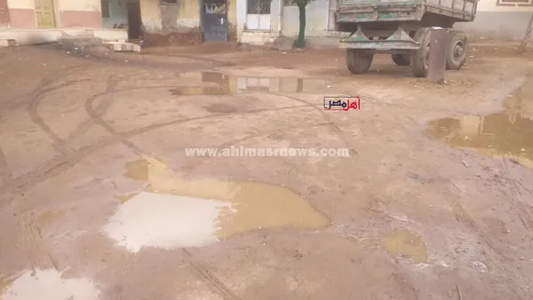 هطول أمطار غزيرة على كفر الشيخ 