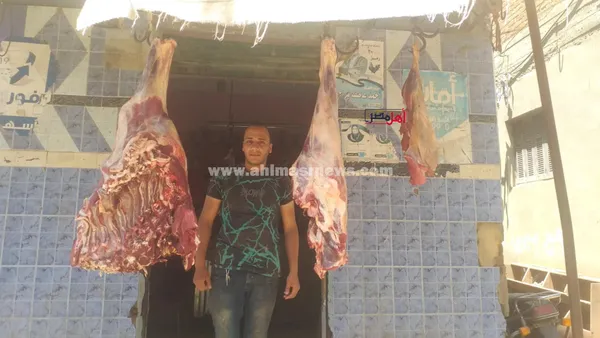 أسعار اللحوم بكفر الشيخ 