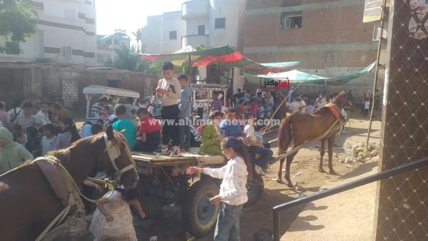 احتفالات عيد الأضحى بكفر الشيخ 