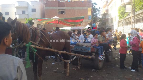 احتفالات عيد الأضحى بكفر الشيخ 
