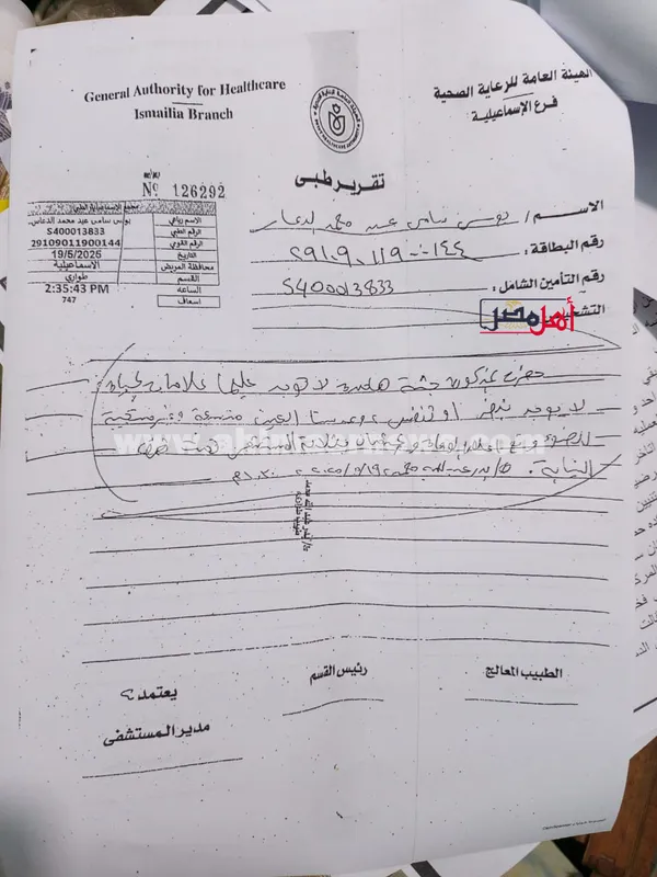 التقرير الطبي 