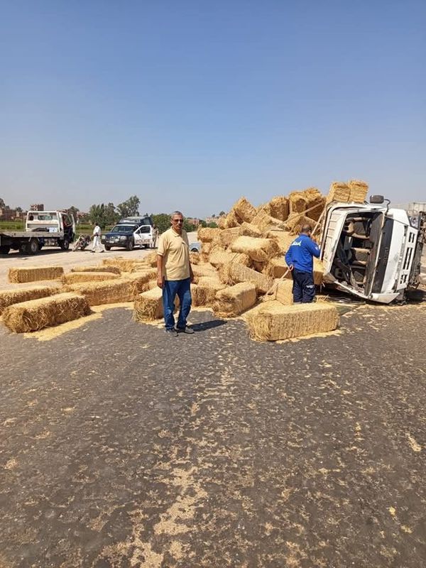 المنوفية