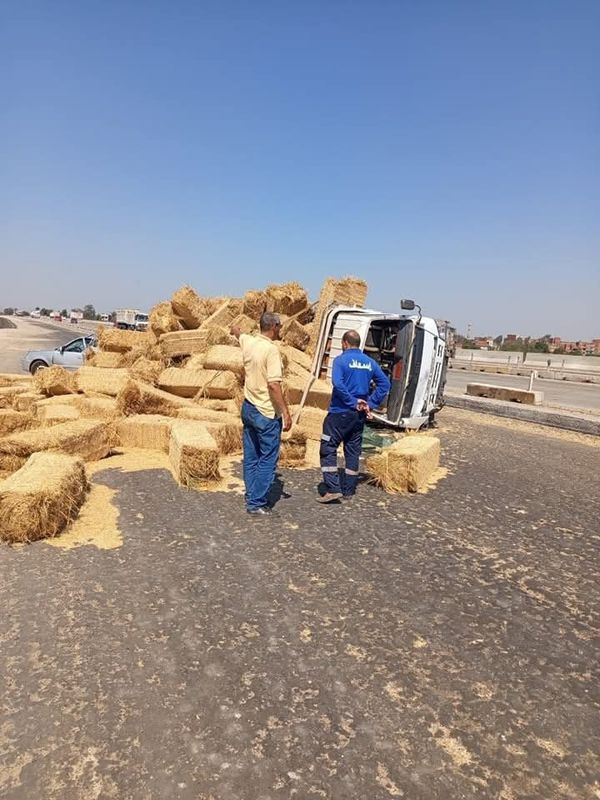 المنوفية