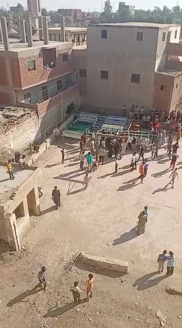 المنوفية