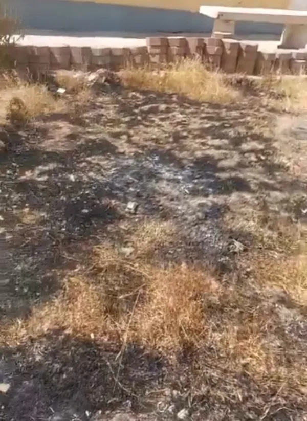 جانب من الجولة 