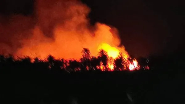 حريق بواحة سيوة 