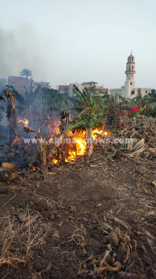 نشوب حريق