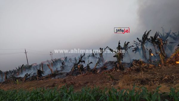 نشوب حريق