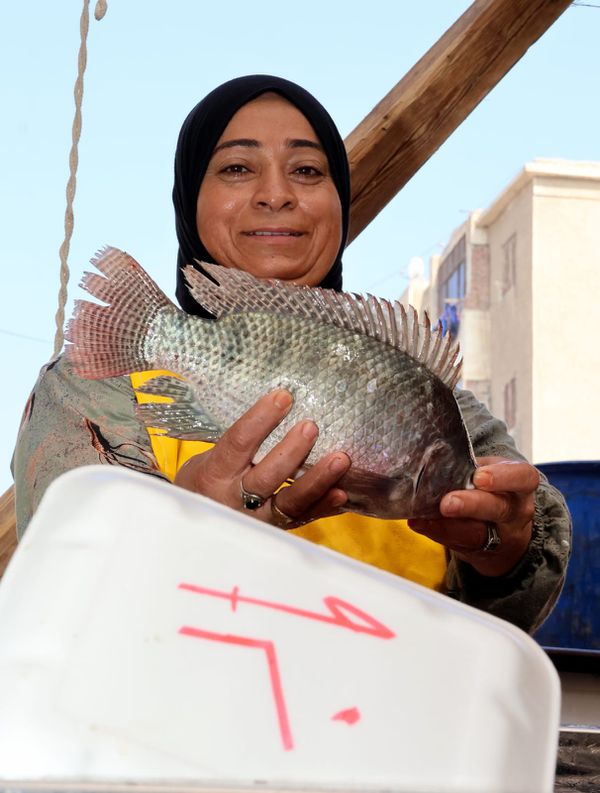 جانب من الحضور  