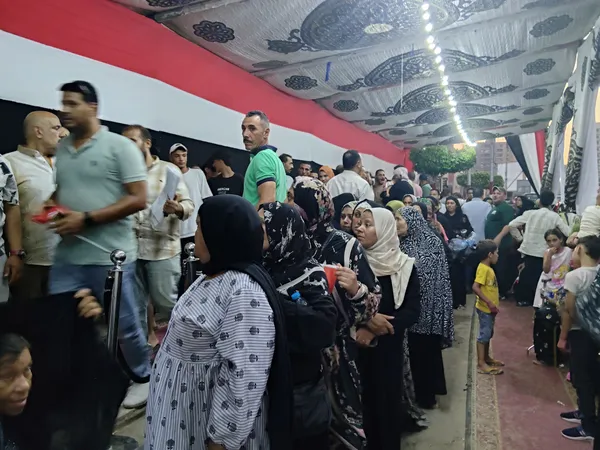 السيدات أمام اللجان