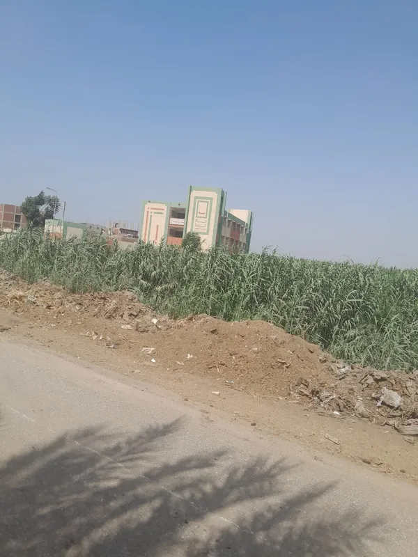 المصرف 