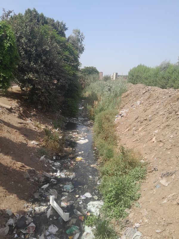 المصرف 