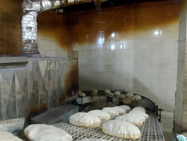 المنوفية